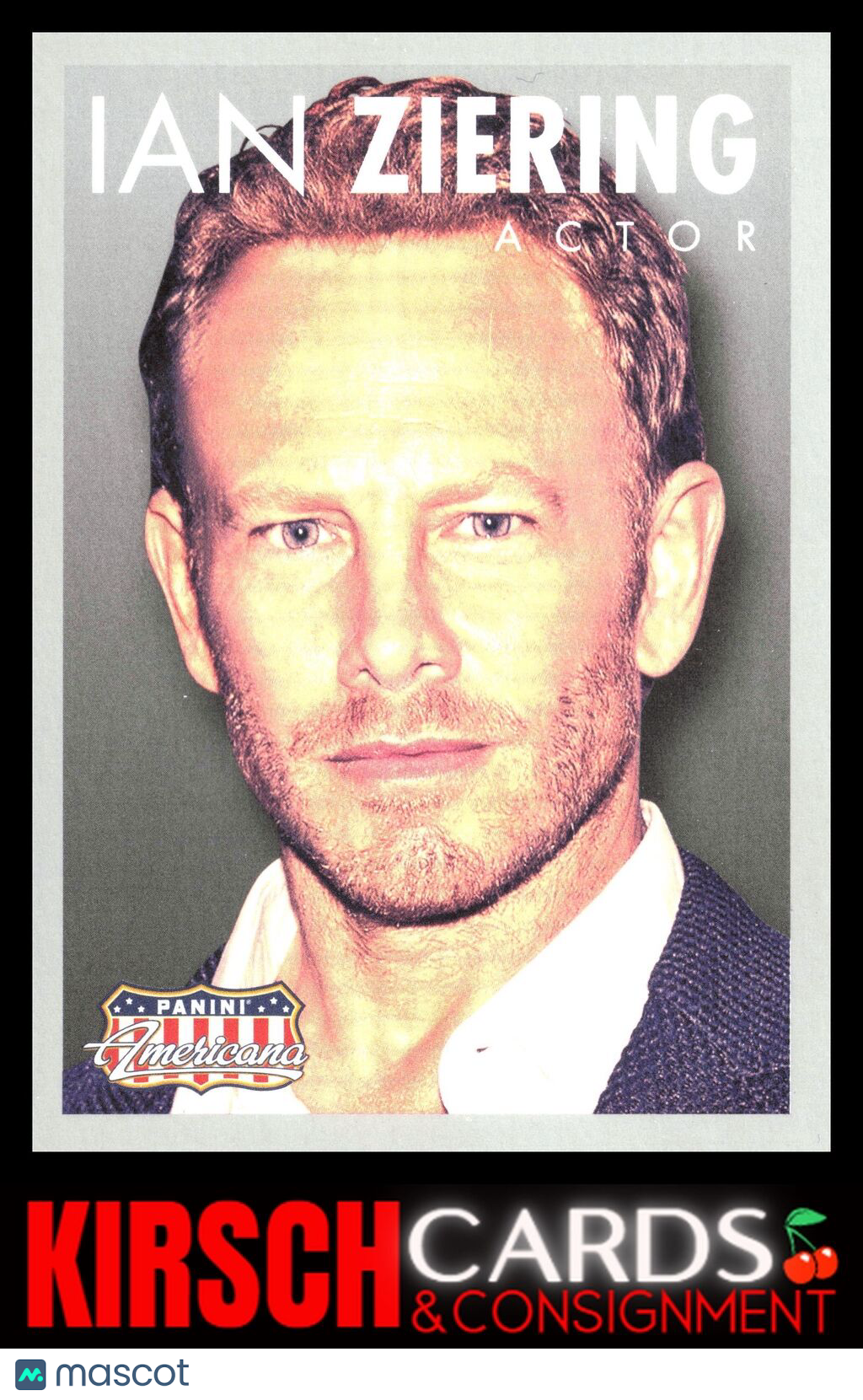 Ian Ziering 2015 Panini Americana #56